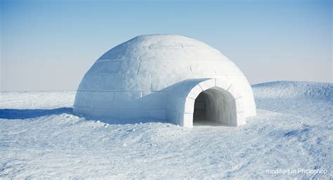 IGLOO